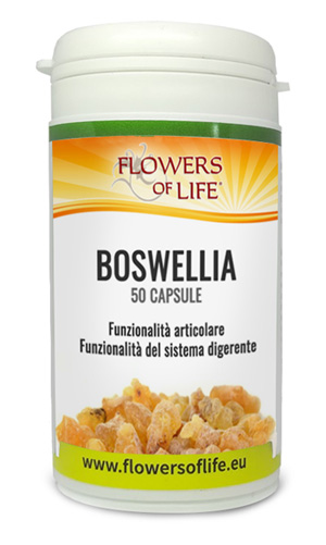 BOSWELLIA 50CPS