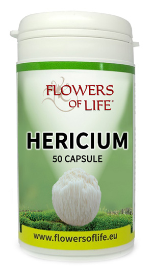 HERICIUM 50CPS