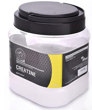 TITAN MICRONIZED CREATINE 500G