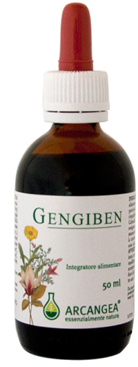 GENGIBEN SOL IAL 50ML