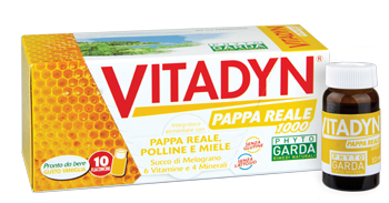 VITADYN PAPPA REALE 1000 10FL