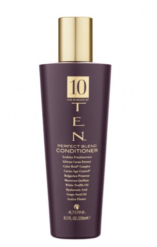 TEN PERFECT BLEND CONDITIONER