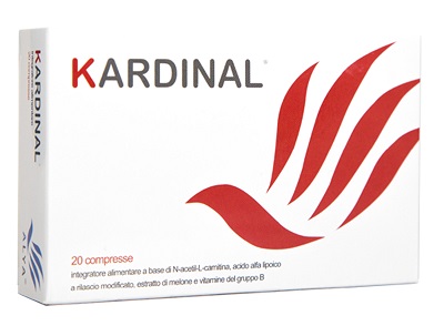 KARDINAL 20CPR