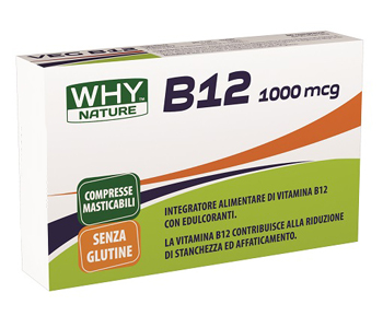 WHYNATURE B12 1000MCG 80CPR