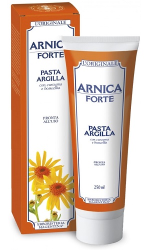 ARNICA FORTE PASTA ARGILL250ML