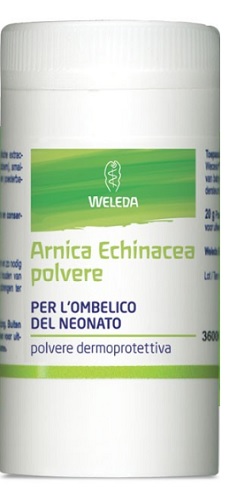 ARNICA ECHINACEA POLVERE 20G