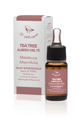 IL PETTIROSSO OE TEATREE