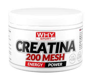 WHYSPORT CREATINA 200 MESH200G