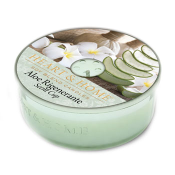 SCENT CUP CANDELA ALOE RIGENER