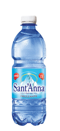 SANT'ANNA PET FRIZZANTE 500ML