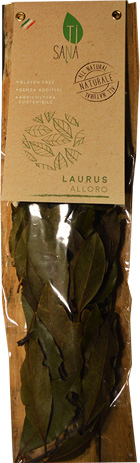 LAURUS FOGLIE ALLORO RAMO