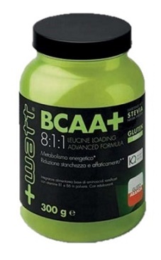 BCAA+ 811 POLVERE ARANCIA 300G