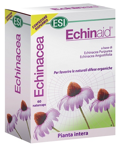 ESI ECHINAID 60CPS