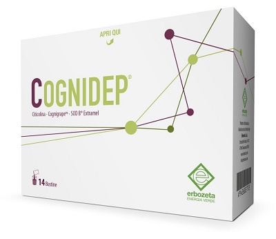 COGNIDEP 14BUST