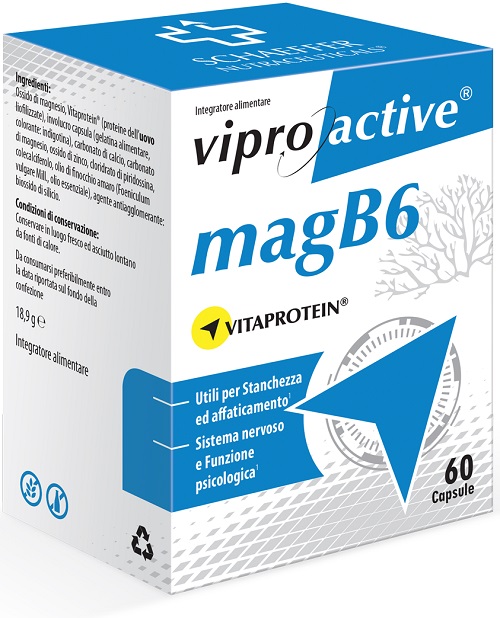 VIPROACTIVE MAGB6 60CPS