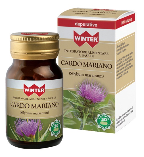 WINTER CARDO MARIANO 30CPS VEG