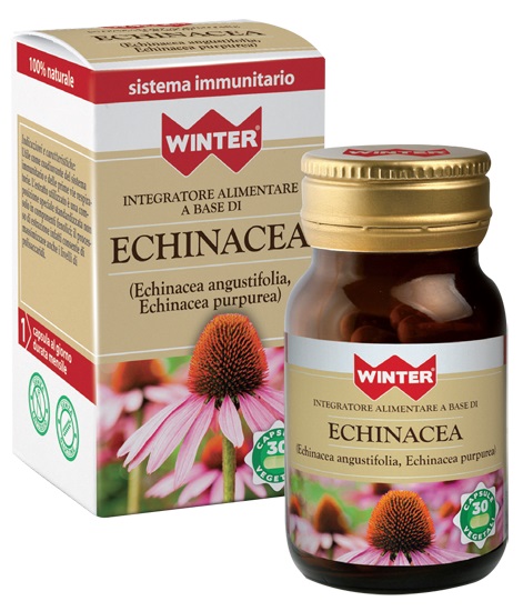 WINTER ECHINACEA 30CPS VEG