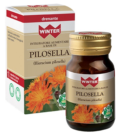 WINTER PILOSELLA 30CPS VEG