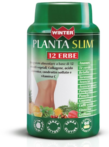 WINTER PLANTA SLIM 12ERBE60CPS