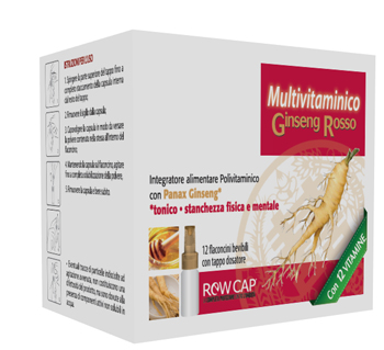 FPI GINSENG MULTIVITAMIN 12FL