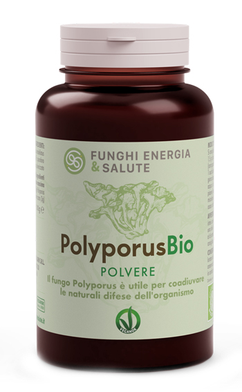 POLYPORUS POLVERE BIO 100G