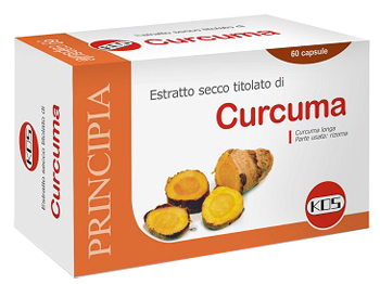 CURCUMA ESTRATTO SECCO 60CPS