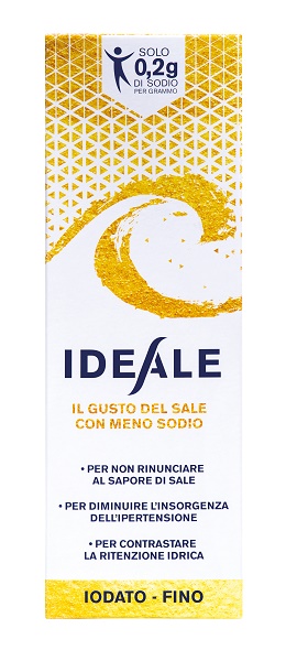 IDEALE CONDIMENTO SALE 500G FI