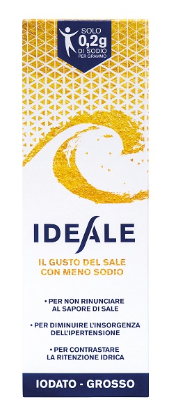 IDEALE CONDIMENTO SALE 500G GR