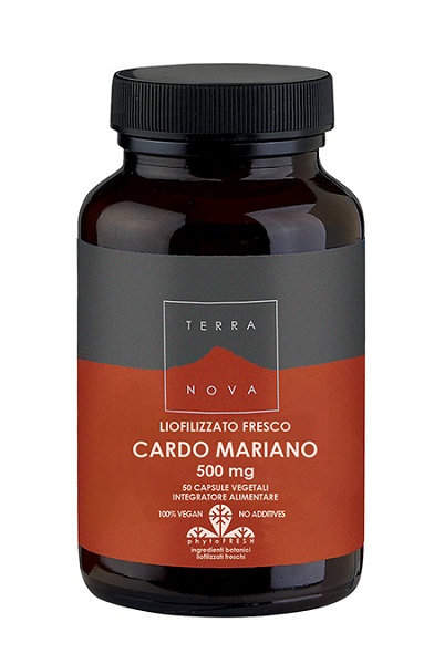 TERRANOVA CARDO MA 500MG 50CPS