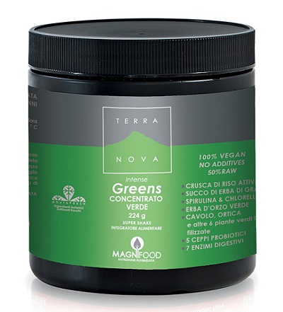 TERRANOVA SUPER SHAKE INT GREE