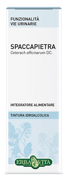 SPACCAPIETRA TINT IAL 50ML EBV