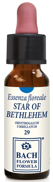 STAR OF BETHLEHEM 10ML GTT