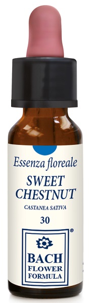 SWEET CHESTNUT ORIGINAL 10ML