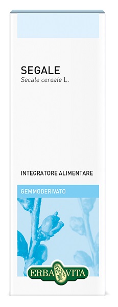 SEGALE GEMMODERIVATO 50ML