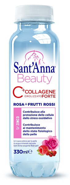 SANT'ANNA BEAUTY 330ML FRUT RO