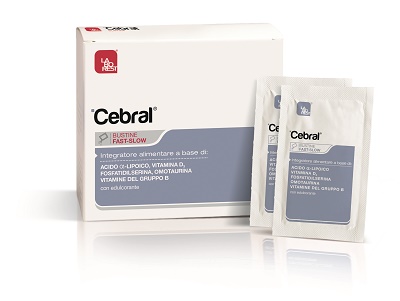 CEBRAL 14BUST