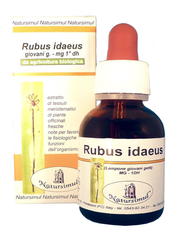 RUBUS IDAEUS GETTI 1DH MG 50ML