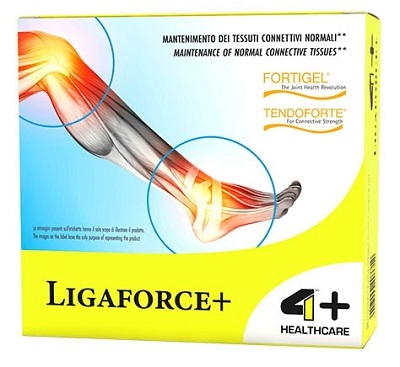 4+ NUTRITION LIGAFORCE+ 14BUST