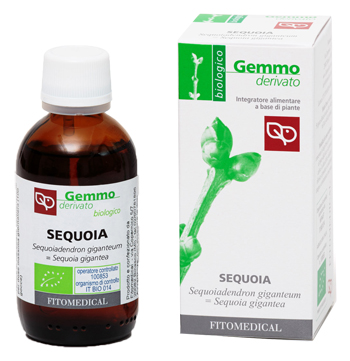 SEQUOIA MG 50ML BIO