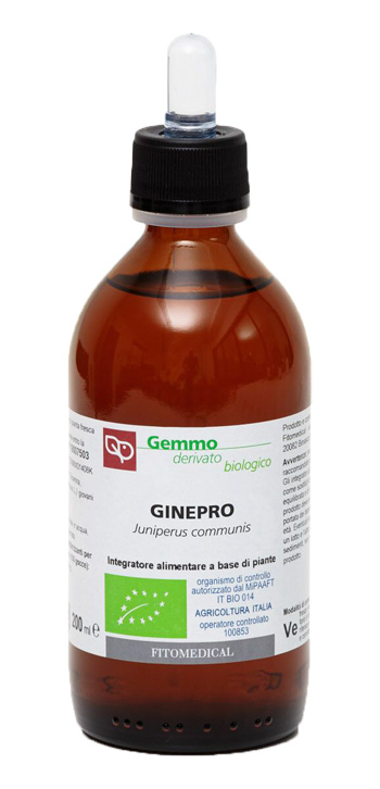 GINEPRO MG 200ML BIO