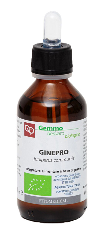 GINEPRO MG 100ML BIO