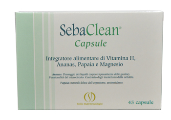 SEBACLEAN 45CPS