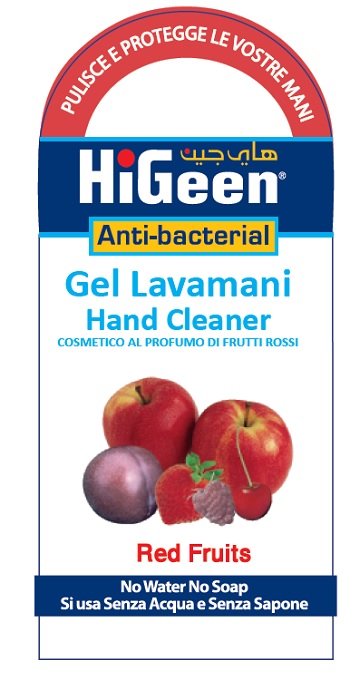 HIGEEN ANTI-BACTERIAL GEL LAVA