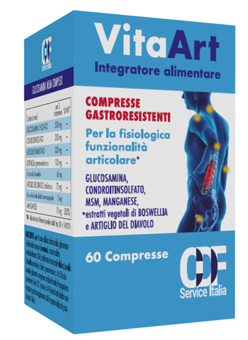 VITAART 60CPR