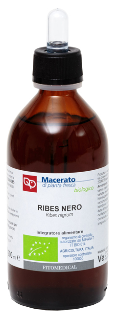 RIBES NERO TM 200ML BIO