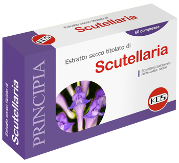 SCUTELLARIA ES 60CPR