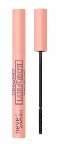 LASH ACADEMY MASCARA