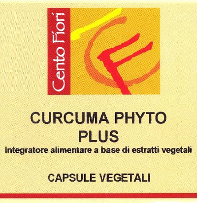 CURCUMA PHYTO PLUS 100CPS VEG