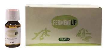 FERMENTUP 10FL 10ML