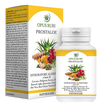 PROSTALOE NATUROCARE 90CPS